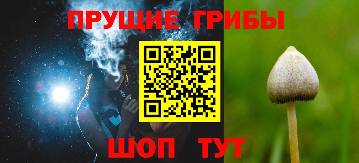 хочу наркоту  Вход с VPN  Алексеевка  Галлюциногенные грибы Psilocybe  Псилоцибиновые грибы Magic Shrooms 